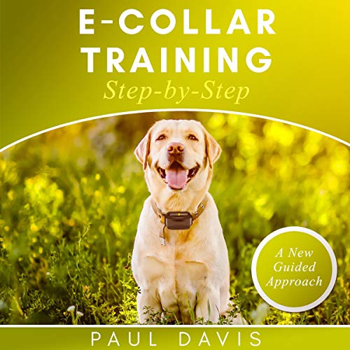 E-Collar Training Step-by-Step by Paul Davis episode artwork