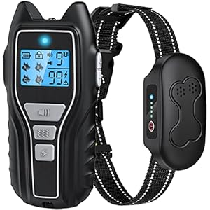 Rechargeable Dog Training Collar with Remote – Waterproof, for 15-150 lb Dogs, with Flashlight, Beep, Vibration, Shock Modes