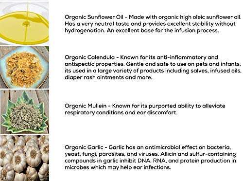 Punkin Butt Baby Ear Oil For Discomfort Relief | Organic Garlic, Mullein, Calendula Ear Drops Safe For Infants (1 Oz) #TOP7