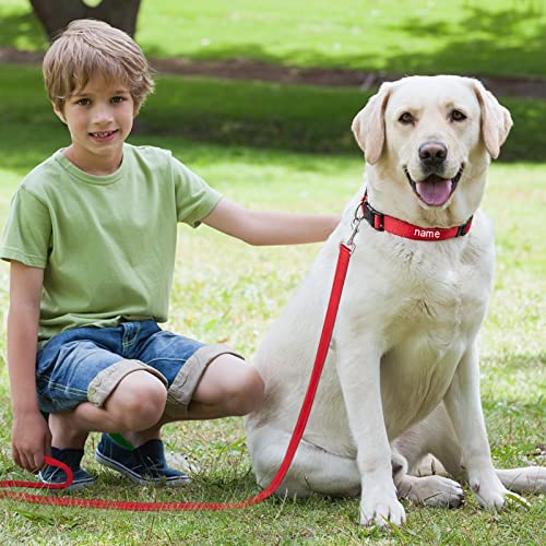 Amidaky Personalized Dog Collars,Nylon Reflective Dog Collar Custom Name And Phone And Leashes,11 Colors For Puppy Small Medium Large Dogs Red #TOP4