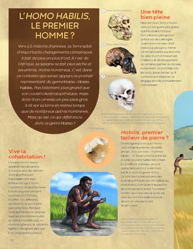 L'Histoire - de la préhistoire au Moyen Âge