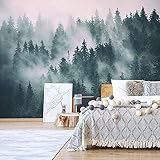 XLMING Ustad Home Papier Peint Forêt Dans La Brume Pour Les Chambres Salle De Bains Cuisine Murale Papier Peint 3D Salle de séjour Chambre à coucher séjour Mural enfant-300cm×210cm