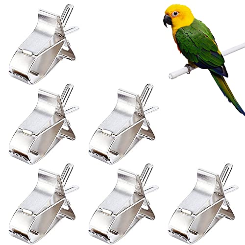 Pilikoll 6 Pcs Outil de Fruit de Perroquet Oiseaux Porte-légumes Supports de Nourriture pour Oiseaux, Porte-Nourriture pour Oiseaux Mangeoire À Oiseaux pour Petits Animaux Perroquet Hamster Lapin Cover