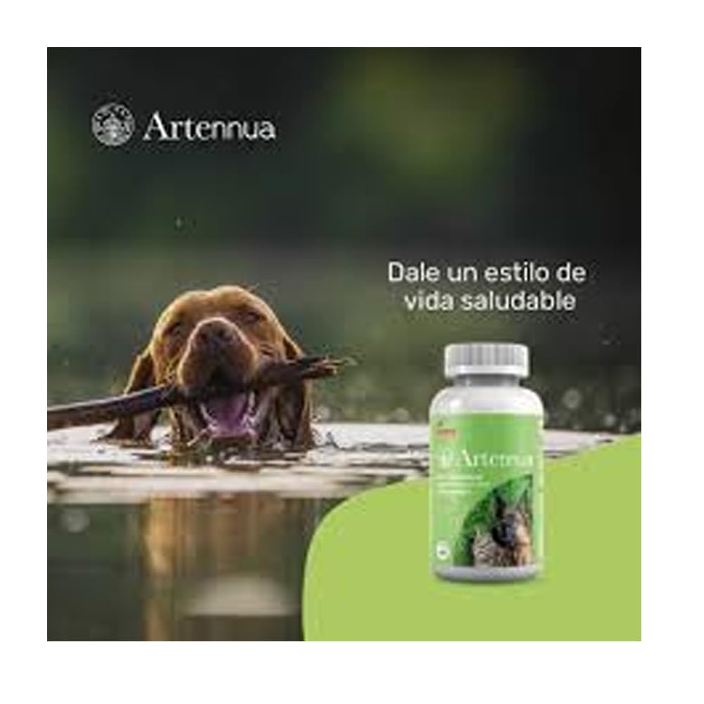 ARTENNUA 90 CAPSULAS