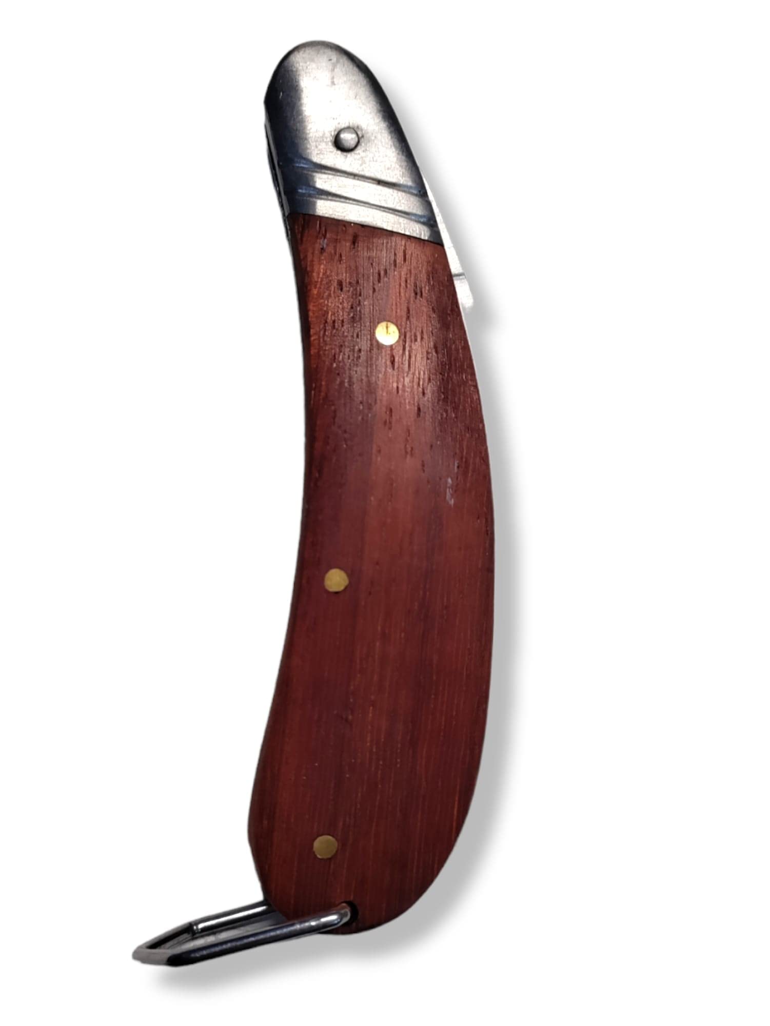 Terryshop74 Coltello richiudibile per funghi 70 mm interamente in acciaio con manico in legno chiusura di sicurezza Spessore lama 2.5mm