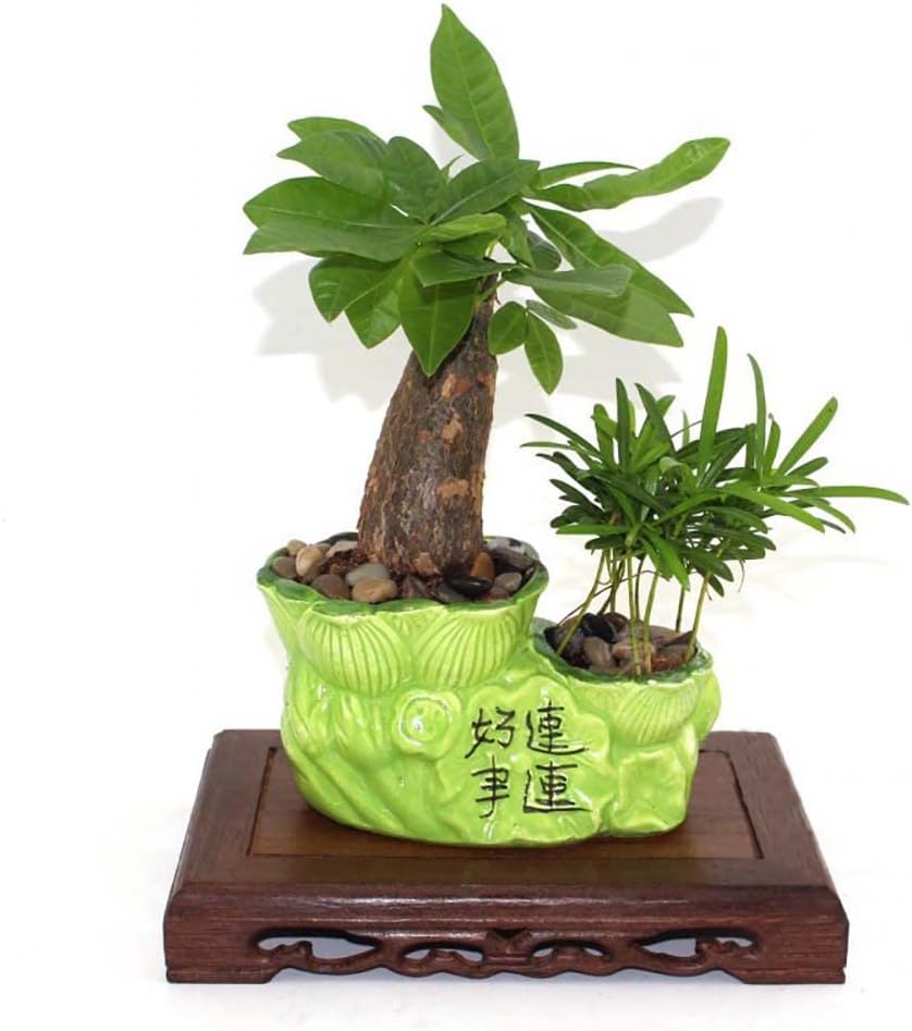 GOLDY&WENDY Oriental Furniture Chinese Solid Wood Display Stand Square Carved Base