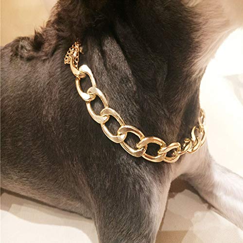 gold chain collar for small dog