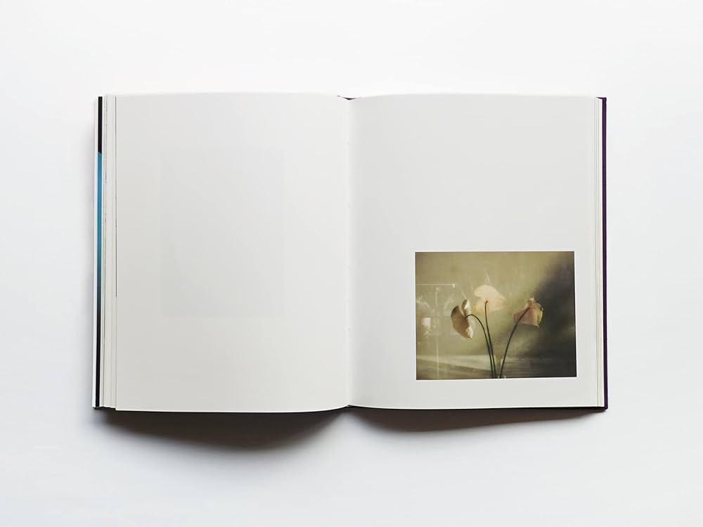 flowers: 9784865411348: Amazon.com: Books