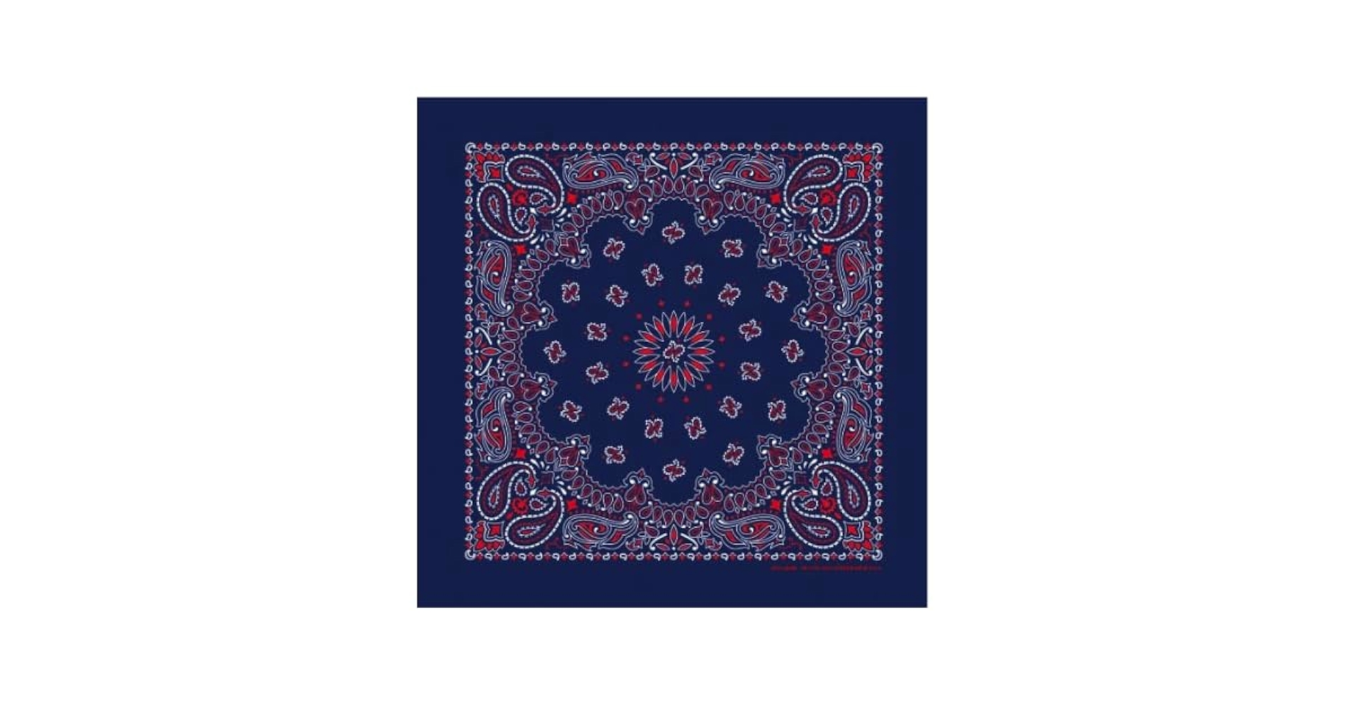 Amazon.com: Hav-A-Hank Very Dark Blue/Red/White Paisley