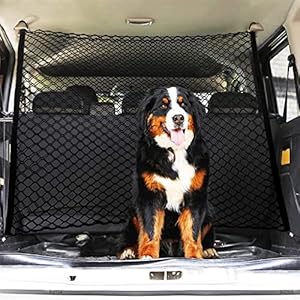 Couche Double Filet Coffre Voiture, Animaux Portable Filet Voiture pour Chien, Universelle pour Voiture Séparation pour Chien Chat Filet,120x85cm