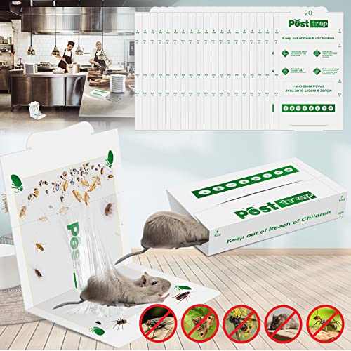 Protecker Super Sticky Glue Traps Bugs Mice Pest Control, Mouse Traps Indoor Home No Kill Safe Pets Strong Enough,Insect Snap Trap Sticky Indoor Glue Boards Easy To Use Around The House,20Pcs #TOP5