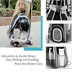 Cat-Backpack-Carrier-Expandable-Ventilate-Transparent-Pet-Dog-Backpack-for-Large-Cats-Hiking-Travel-Outdoor-Airline-Approved-Space-Capsule-BackpackBlack - Cucciolini Doodles   Cat-Backpack-Carrier-Expandable-Ventilate-Transparent-Pet-Dog-Backpack-for-Large-Cats-Hiking-Travel-Outdoor-Airline-Approved-Space-Capsule-BackpackBlack