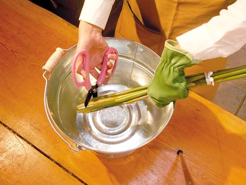 Ciseaux ARS FP-17-P Rose de type Fleur pour fleuristes - 7