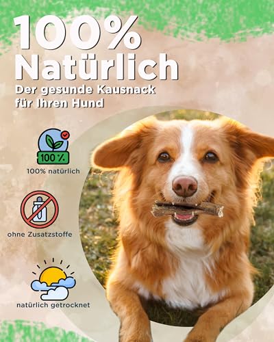 Futterbauer Rinderpansen 5 kg, Natürlicher Kausnack für Hunde, schonend getrocknet, fettarm & gut verdaulich