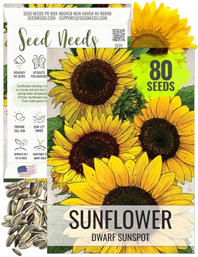 Seed Needs Sunflower Seeds for Planting Dwarf Sunspot Sunflowers - Heirloom & Open Pollinated Annual Cut Flower Seed to Plant 2 Foot Tall Sun Flowers (1 Pack)
