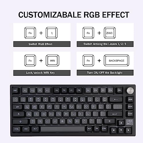 Epomaker - Tastiera meccanica da gaming TH80 SE Gasket 75%, hot-swap NKRO, modalità tripla, RGB, con schiuma Poron/Eva, manopola per E-Sport/Windows/Mac, nero argento, interruttore lineare Wisteria - Tastiera gaming - Immagine 2