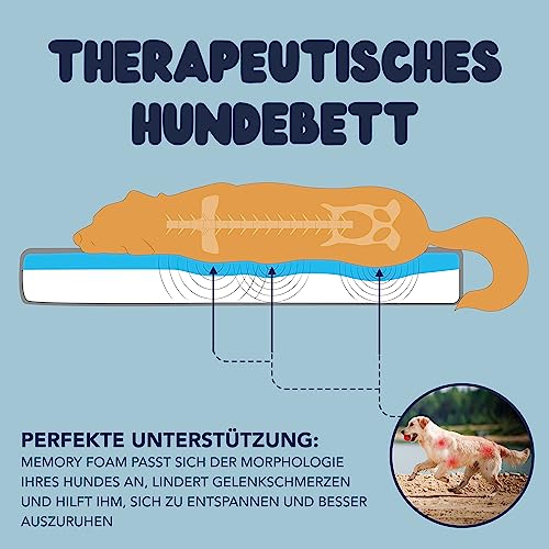 ZENAPOKI Hundebett - S - Orthopädisches Hundekissen für Hunde, Gut die Gelenke - Waschbar Abnehmbare Bezug, 60x40x9cm