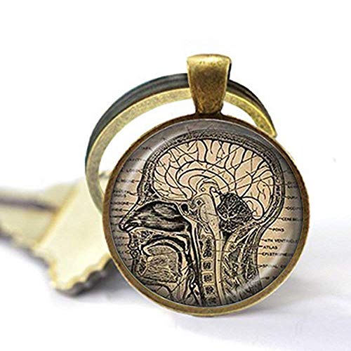 Anatomischer Schlüsselanhänger mit Gehirn, Anatomisches Gehirn, Schmuck, Geschenk, Neurowissenschaft, Student Teacher Schmuck Cover