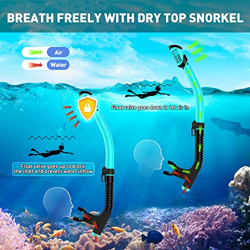 Mask Fins Snorkel Set For Adults Men Women Dry Top Snorkel Diving Flippers Snorkeling Gear Diving Mask With Gear Bag For Snorkeling Swimming Scuba Diving Training #TOP4