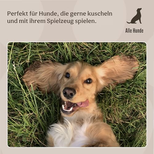 Rosewood Leo Lion Hundespielzeug – Weiches Plüschspielzeug mit Riesen-Quietscher & Knisterkörper – Interaktives Kuscheltier für Spiel, Spaß & Geborgenheit – Gelb