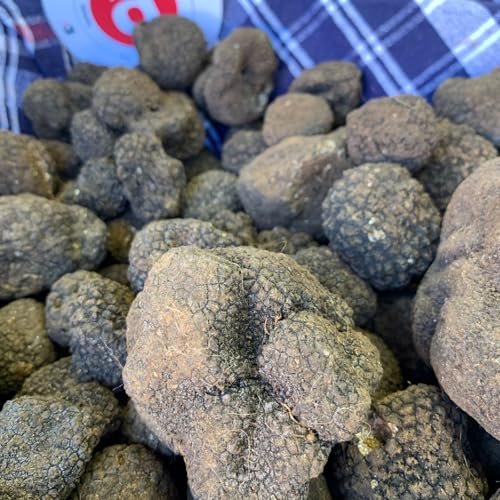 『Sapori d'Autunno: alla scoperta di tartufi e castagne in Italia. Itinerari e consigli di viaggio』のカバーアート