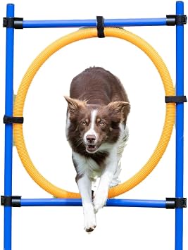 TRIXIE Dog Agility Ring Jump | Portable Dog Hoop - Agility at Home, Dog Obstacle Training Equipment