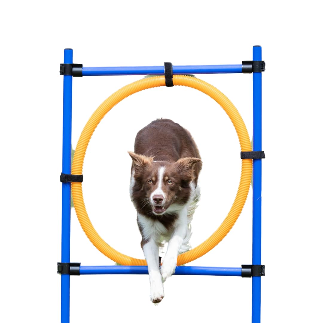 Trixie Dog Activity Agility Ring, 115 ﾗ 3 cm 65 cm, Orange/ Blue