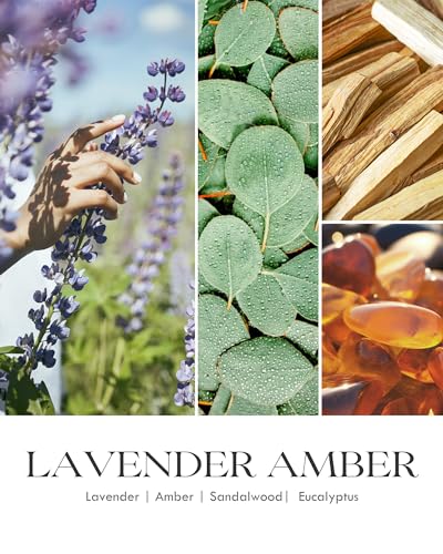 Image of AOOVOO Lavender Amber Candles - 9 oz Scented Candles, Aromatherapy Candle, Soy Candle for Home Scented
