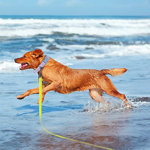 Wolfone 10Ft Yellow Long Leash Waterproof Training Dog Leash， Durable Easy Care Leash Fit For Recall， Swimming， Camping， Beach， Hunting， Walking #TOP6