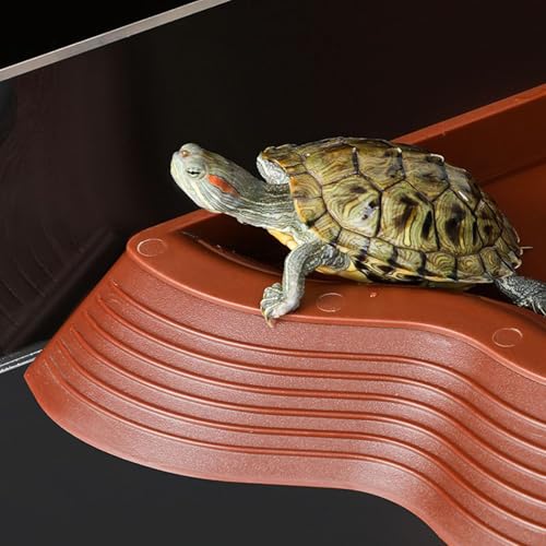 Bac à eau pour tortue Générique avec rampe antidérapante - 8