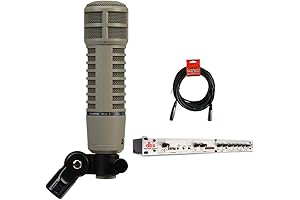 The RE20: The Professional's Choice for Broadcast Announcers