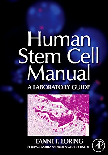 Human Stem Cell Manual: A Laboratory Guide view 2