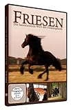 friesenpferde lungau  Friesen - Die faszinierende Welt der Friesenpferde