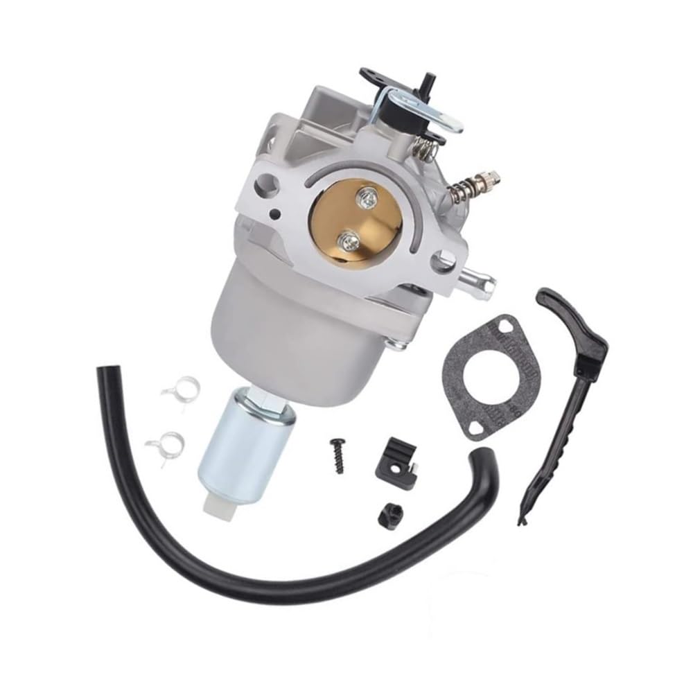 Carburateur pour tondeuse évitant les pannes 799727