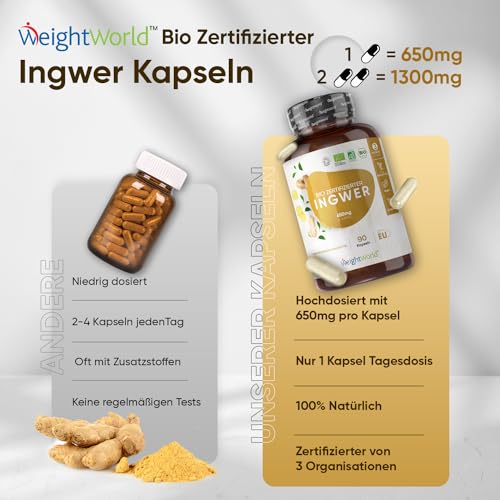 Ingwer Kapseln mit 650 mg Ingwerpulver – Bio Zertifiziert und Vegan