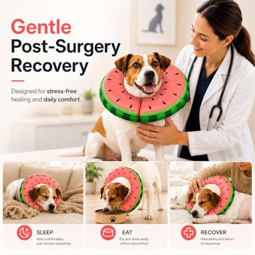 Image of MIDOG Inflatable Dog Cone After Surgery, Donut Collar for Large Dogs, L