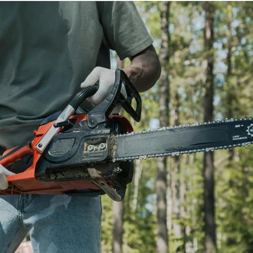 Search for chainsaw wielding man out car window in Manly; And Brisbane's Cam Smith decides on LIV Golf future copertina