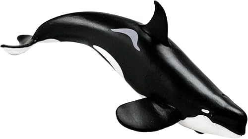 Safari Ltd. Figura de orca tipo D, modelo realista de ballena asesina de 6 pulgadas, juguete educativo para niños, niñas y niños a partir de 3 años