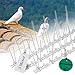 Produktbild PRIOstahl Taubenabwehr Taubenspikes Vogelabwehr mit Kunststoffgrundplatte 2-reihig 3 Meter (6 x 0,50cm Spikes) Vogelschutz Abwehr für Balkon Dach Fenster UV-Beständig & rostfrei Edelstahl V2A