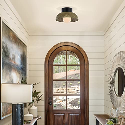 Tehenoo Contemporary Flush Mount Ceiling Light,Dome Metal Shade With Perforated Pattern,Green Ceiling Light Fixture For Kitchen,Hallway,Living Room #TOP4