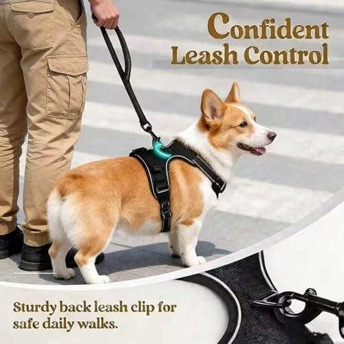 Fellstern Anti-Zieh-Geschirr,Anti-Zieh Hundegeschirr mit Step-in Design – Atmungsaktiv & Gepolstert-Für entspanntes Spazierengehen – Für Hunde jeder Größe(Größe L)