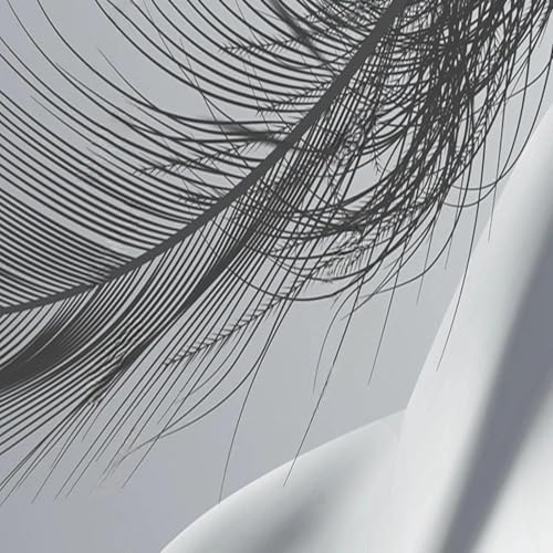 Papier peint 3D de plumes pour décoration murale salon - 5