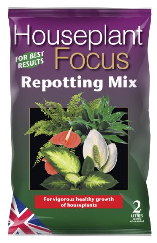 Growth Technology Repotting Mix Orchid Houseplant Cactus Citrus Bonsai Carnivorous African Violet (Housplant 2L)