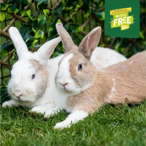 Burgess Excel Nuggets with Mint Adult Rabbit Food 9 kg, Green