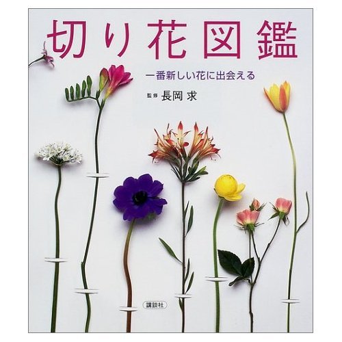 非常に良い」花図鑑Vol.2 切花 【公式通販】