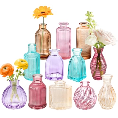 12PCS Mixed Colored Bud Vases Small Glass Vases for Flowers