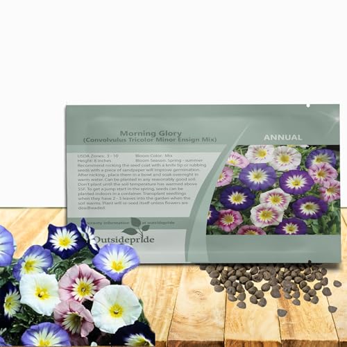 Outsidepride Ensign Mix Morning Glory Seeds - 1000 Pcs. Annual,