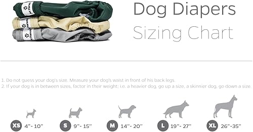 Miniatura 6 de Pet Parents Pañales y extensores lavables de alta calidad, (3 unidades) de pañales para perros hembras y machos, pañales para perritos Color abeto,