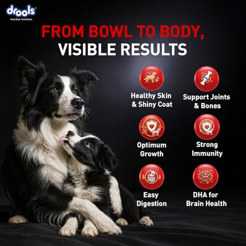 Image of Drools Focus Starter Super Premium Dry Dog Food 8kg Pack | Chicken Flavour | Supports Growth & Intelligence | Gut-Friendly Formula | Promotes Healthy Development