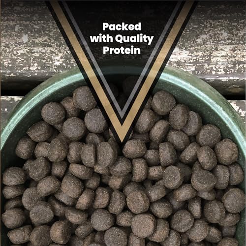 Image of VICTOR Bully Fuel Dry Dog Food - High-Calorie Formula for Muscle, 5 lb | Real Beef First Ingredient, Lean Muscle Support, Glucosamine & Chondroitin for Joint Health, Omega 3 & 6 for Skin & Coat